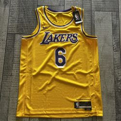 2020-2021 NBA Swingman Icon Edition Los Angeles Lakers Lebron James Jersey!