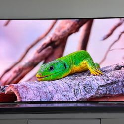 Selling my 77” LG OLED C1 (OLED77C1PUB) in excellent overall condition.