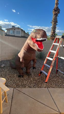 Free delivery - Dinosaur costume - $20