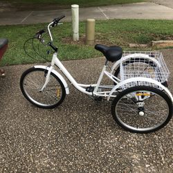 3 Wheel Adult Bike