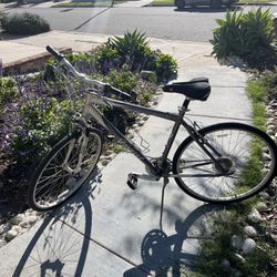 “Giant” Brand Bike