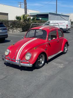 1966 vw bug