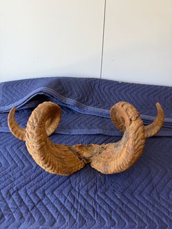 Vintage Real western decoration