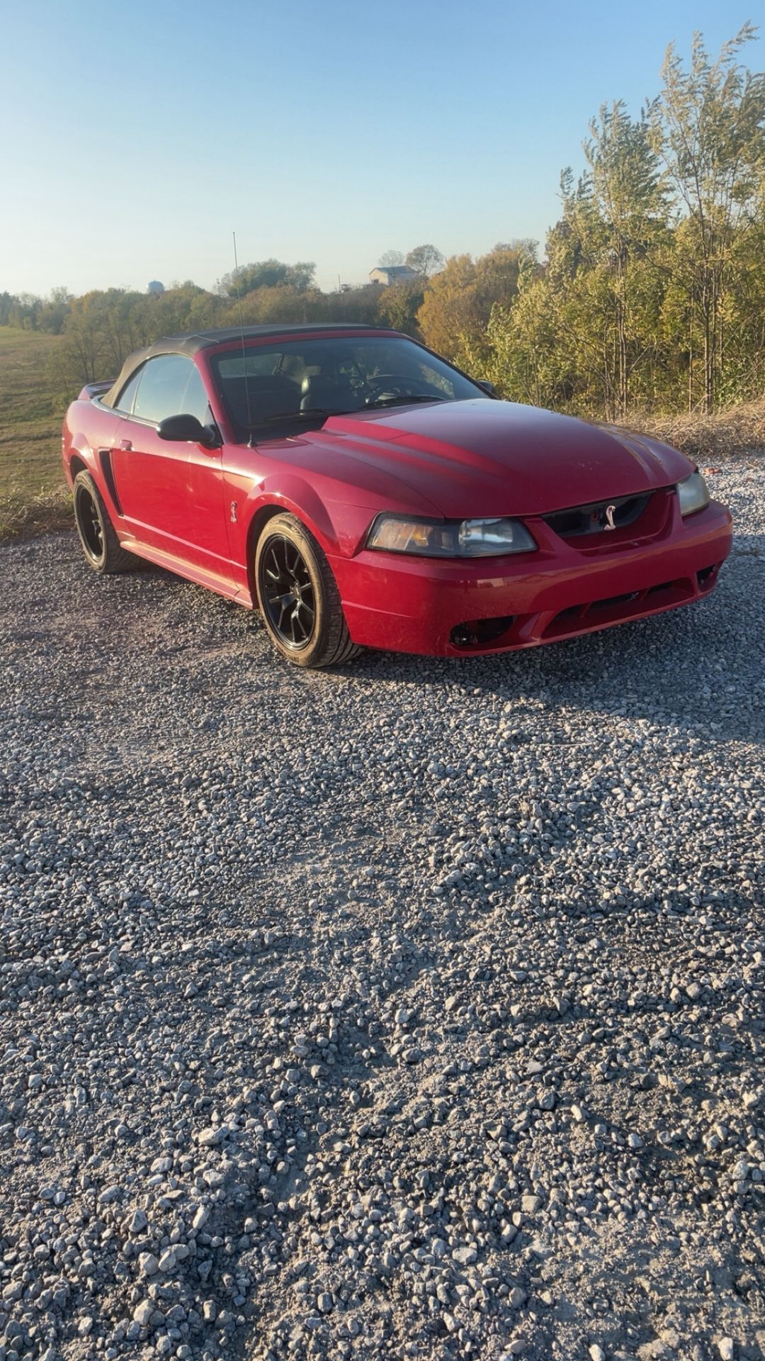 1999 Ford Mustang