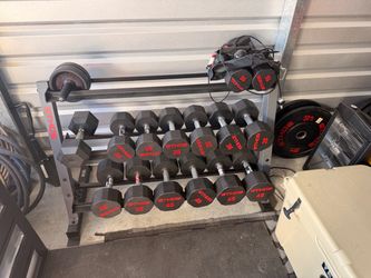 Ethos Dumbell set 15-45 pounds