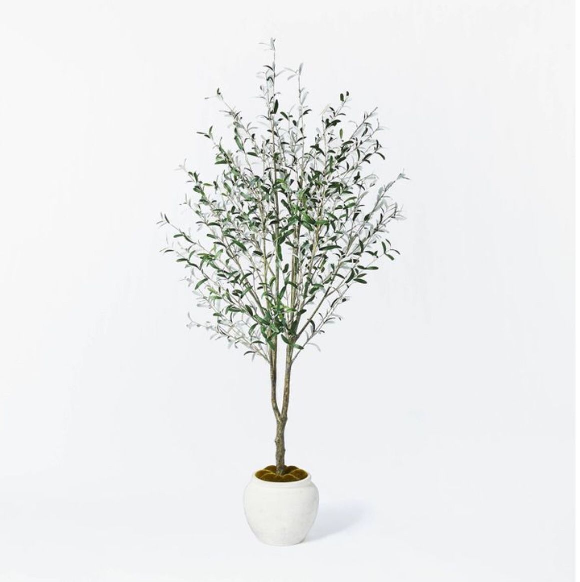 New Realistic Olive Tree In Beautiful Off White Ceramic Pot Large Threshold Studio McGee Faux Fake Plant