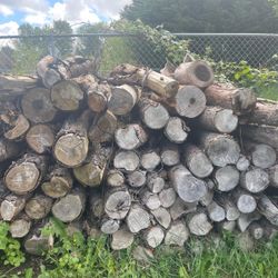 Free Firewood Pick Up Only 