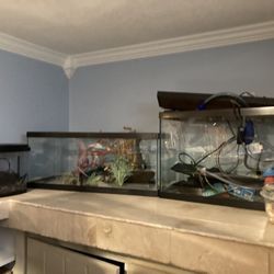 Fish Tanks+Everything You Need For Them (Check Description for Pricing)