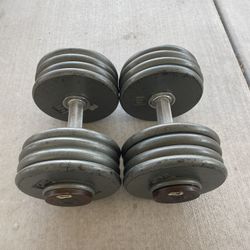 Dumbbells 90Lb Pair (Read Description) 