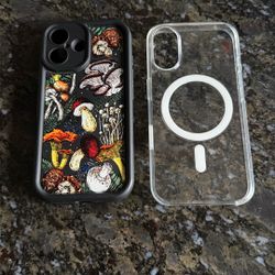iPhone 16 Cases