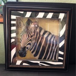 Zebra Frame  3d