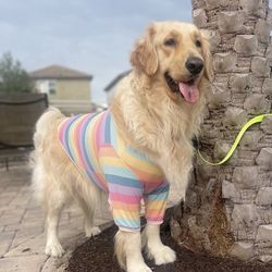 Brand New Dog Clothes for Large Dogs. Sixe XXL