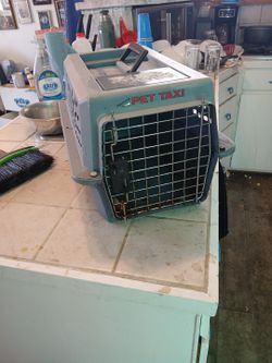 Dog or cat carrier