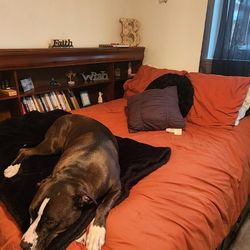 Bedroom Set