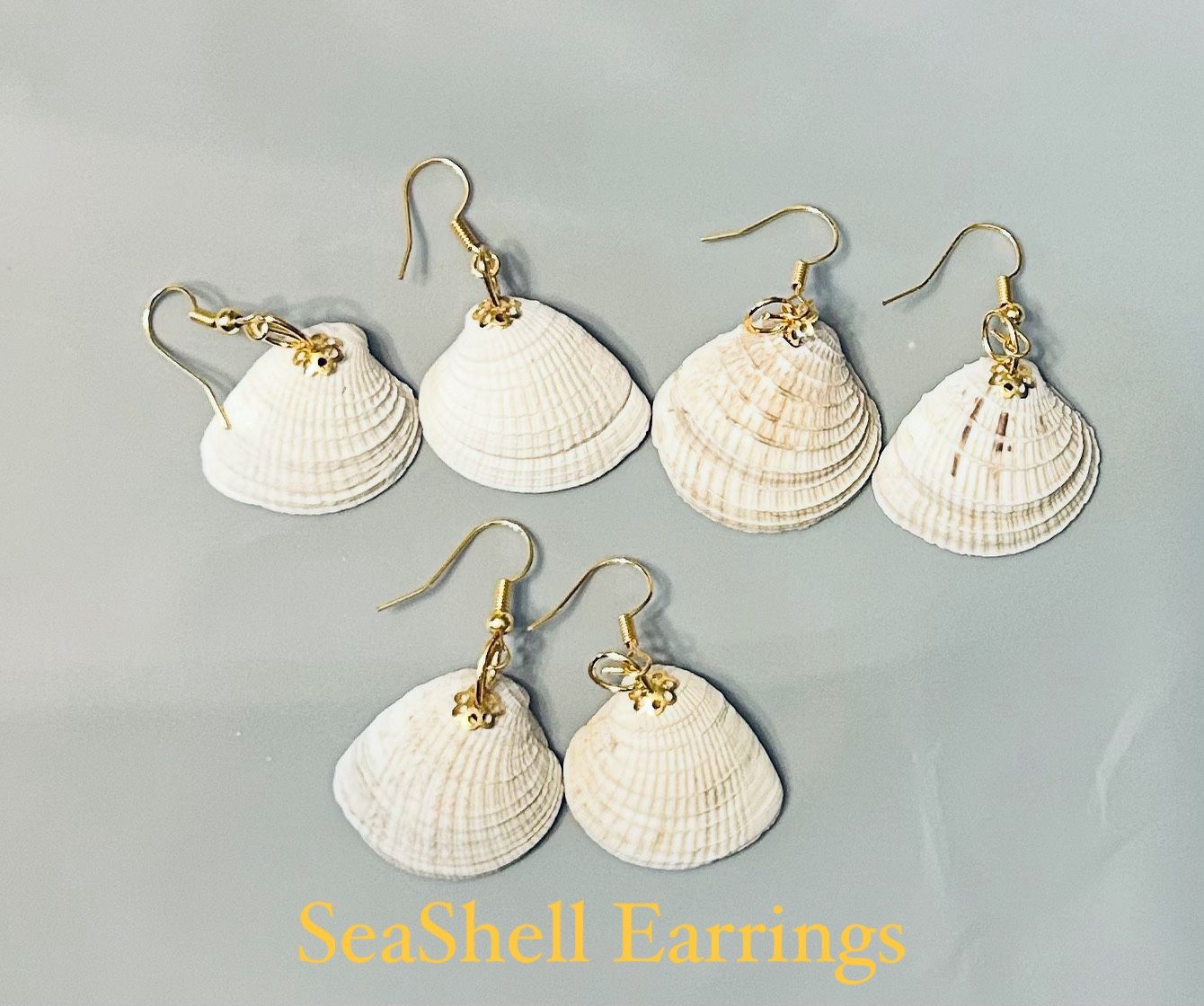 Seashell Earrings