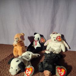 Rare TY Beanie Babies Includes Halo, Fortune, Hope, Blackie, And Dotty All With Tag Errors