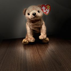 Retired 1999 Pecan The Bear