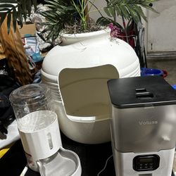 Cat Supplies 