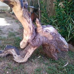 Genuine Driftwood 