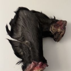 Cow Ears