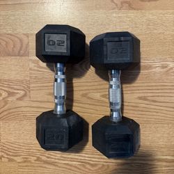 20 Lb Dumbbell Set