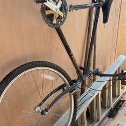 Mountain Bike Trek Antelope