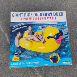 Giant Ride On Pool Float