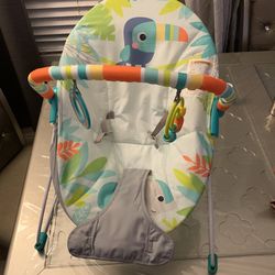 Baby Bouncer
