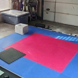 MMA, Jujutsu, Wrestling Mat
