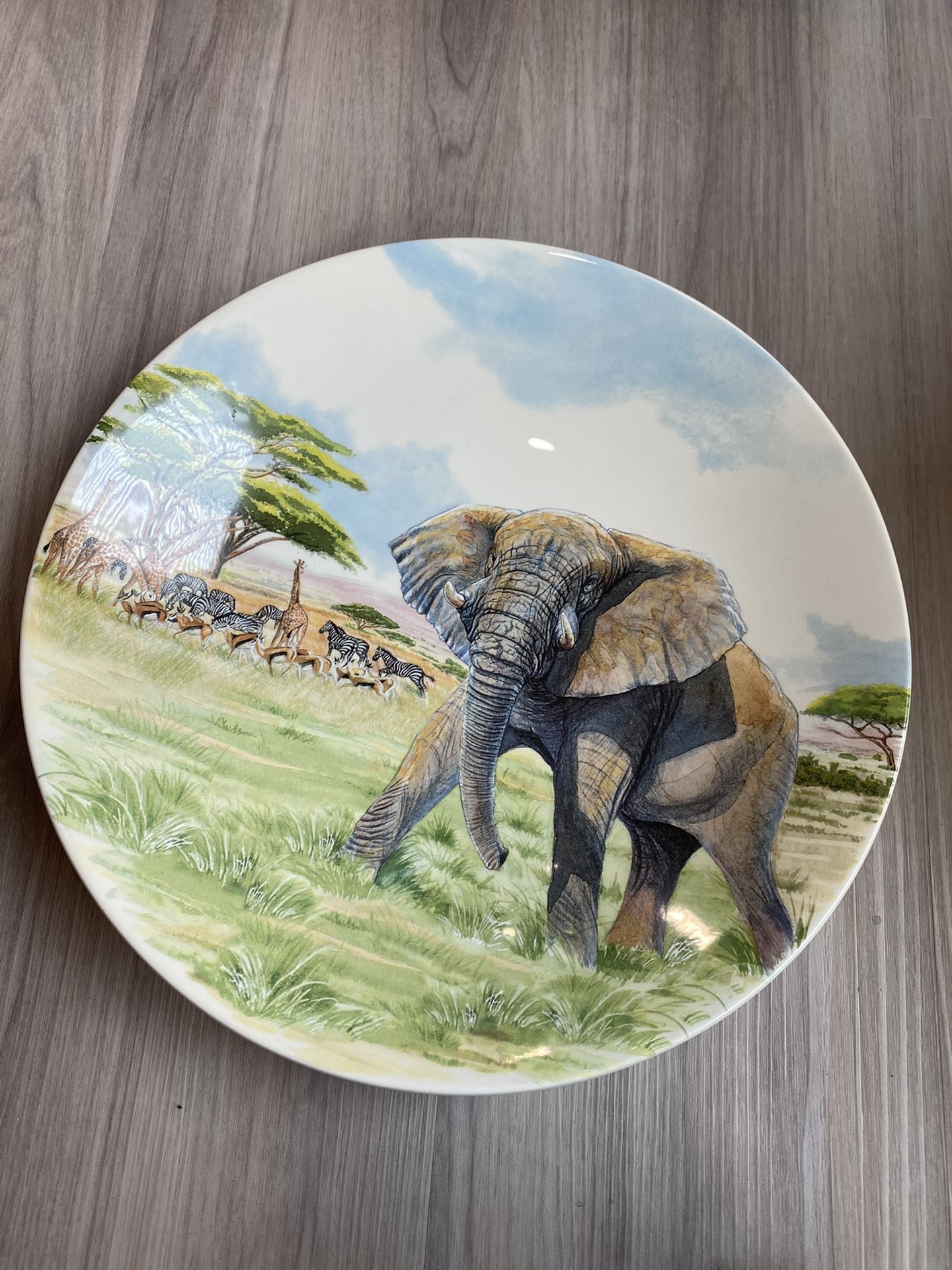 Safari Gien plate by Stephane Alsac