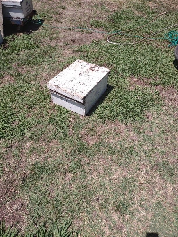Bee Boxes