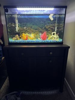 Aquarium And Stand 