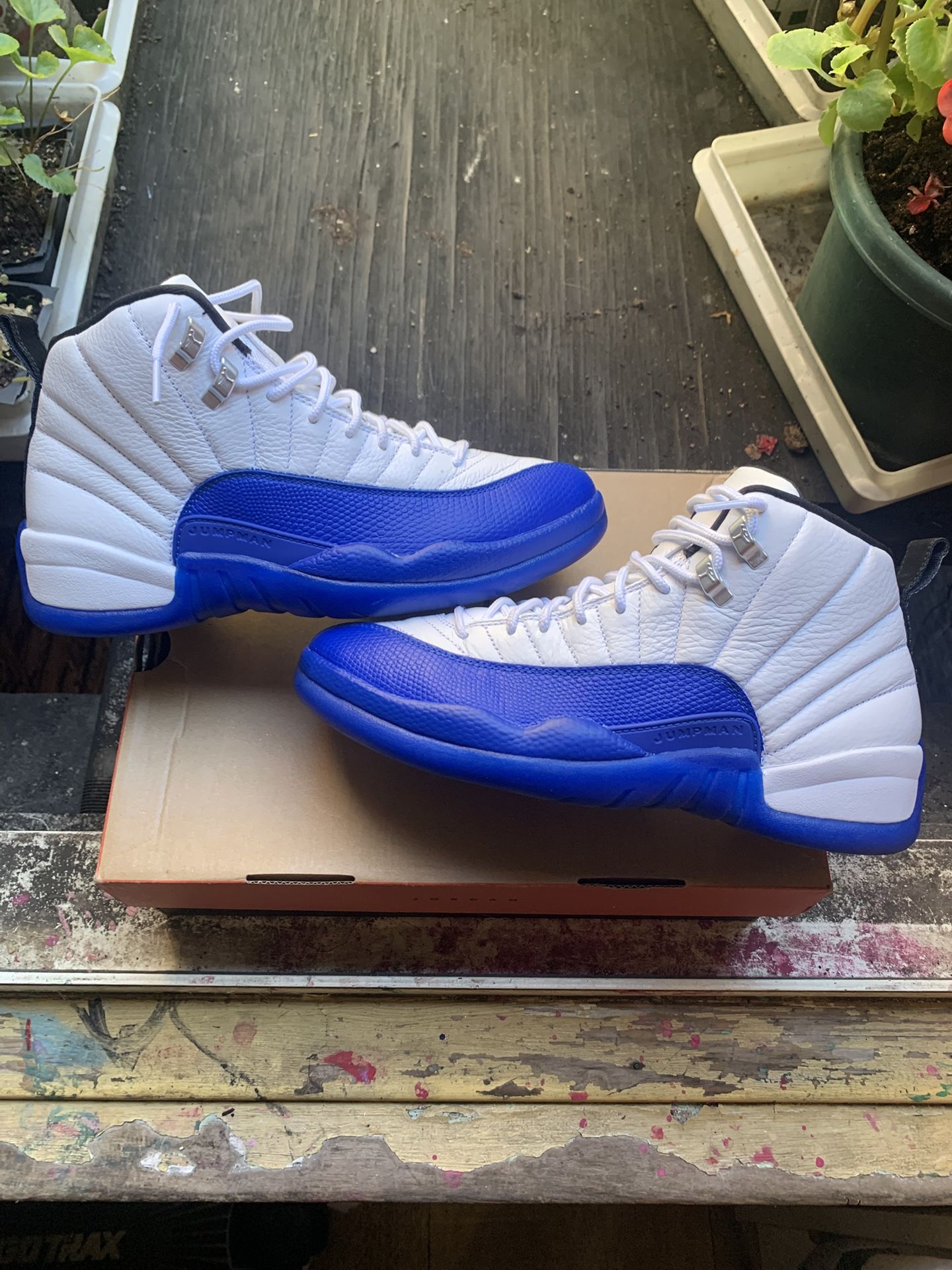 Jordan 12 Blueberry Size 8