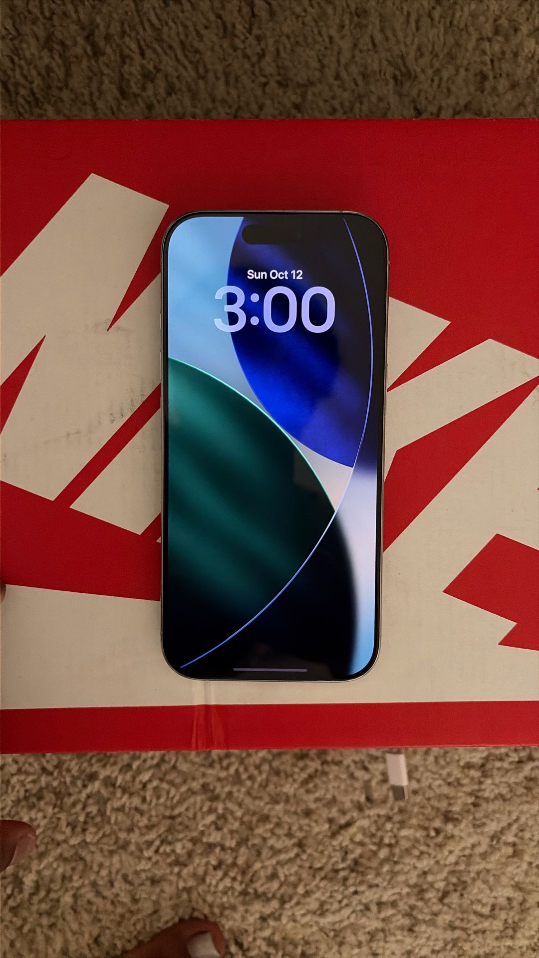 iPhone 16 Pro