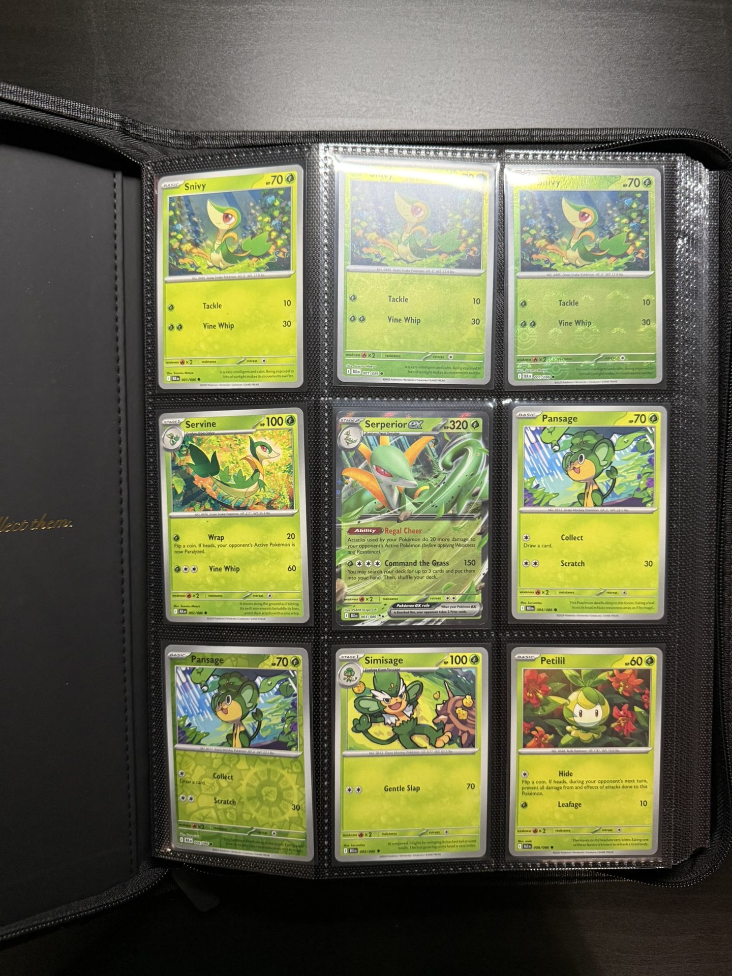 Pokemon White Flare & Black Bolt Bulk