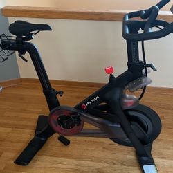 2019 Peloton 