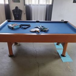 Pool/Ping Pong Table