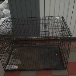 Dog Kennel 