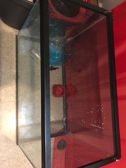 Glass Aquarium