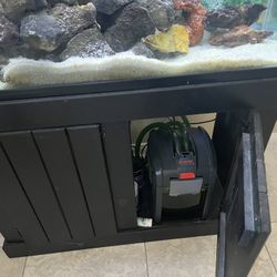 Fish Tank Aquarium