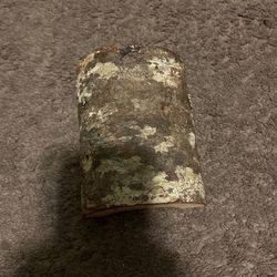 Reptile Log