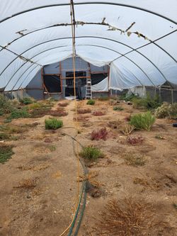 Green House 30x50