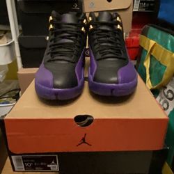 Jordan Retro 12 Court Purple 