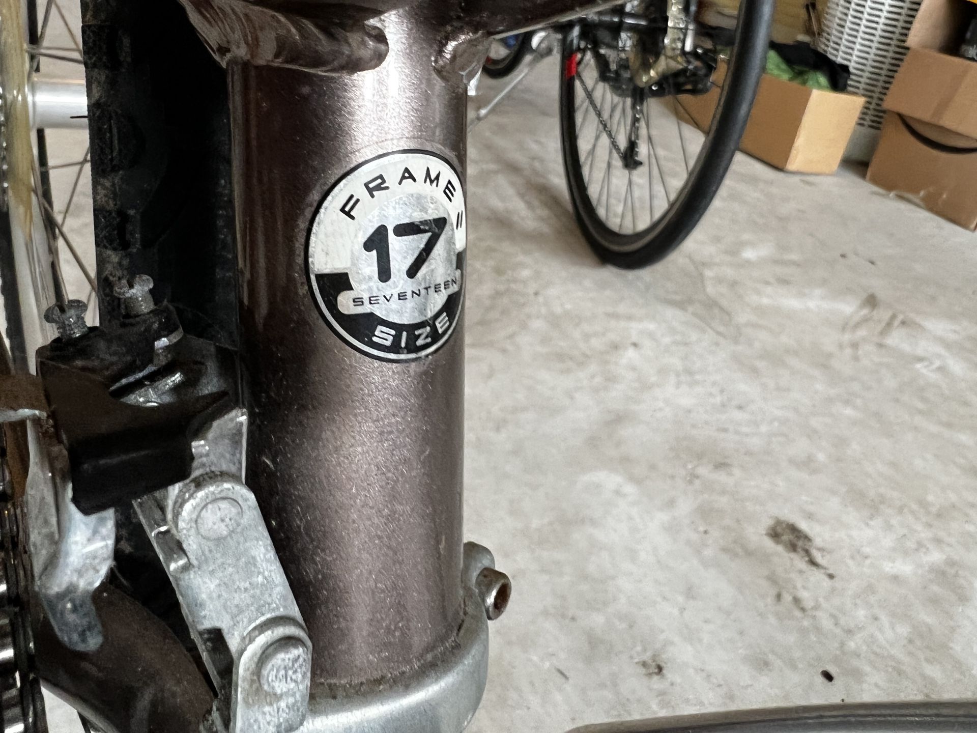 Giant Size 17 Ladies Bike In Great Conditions