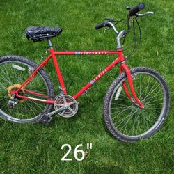 Mountain Bike