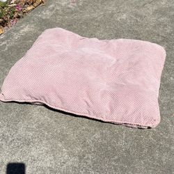 Assorted Medium Dog Beds