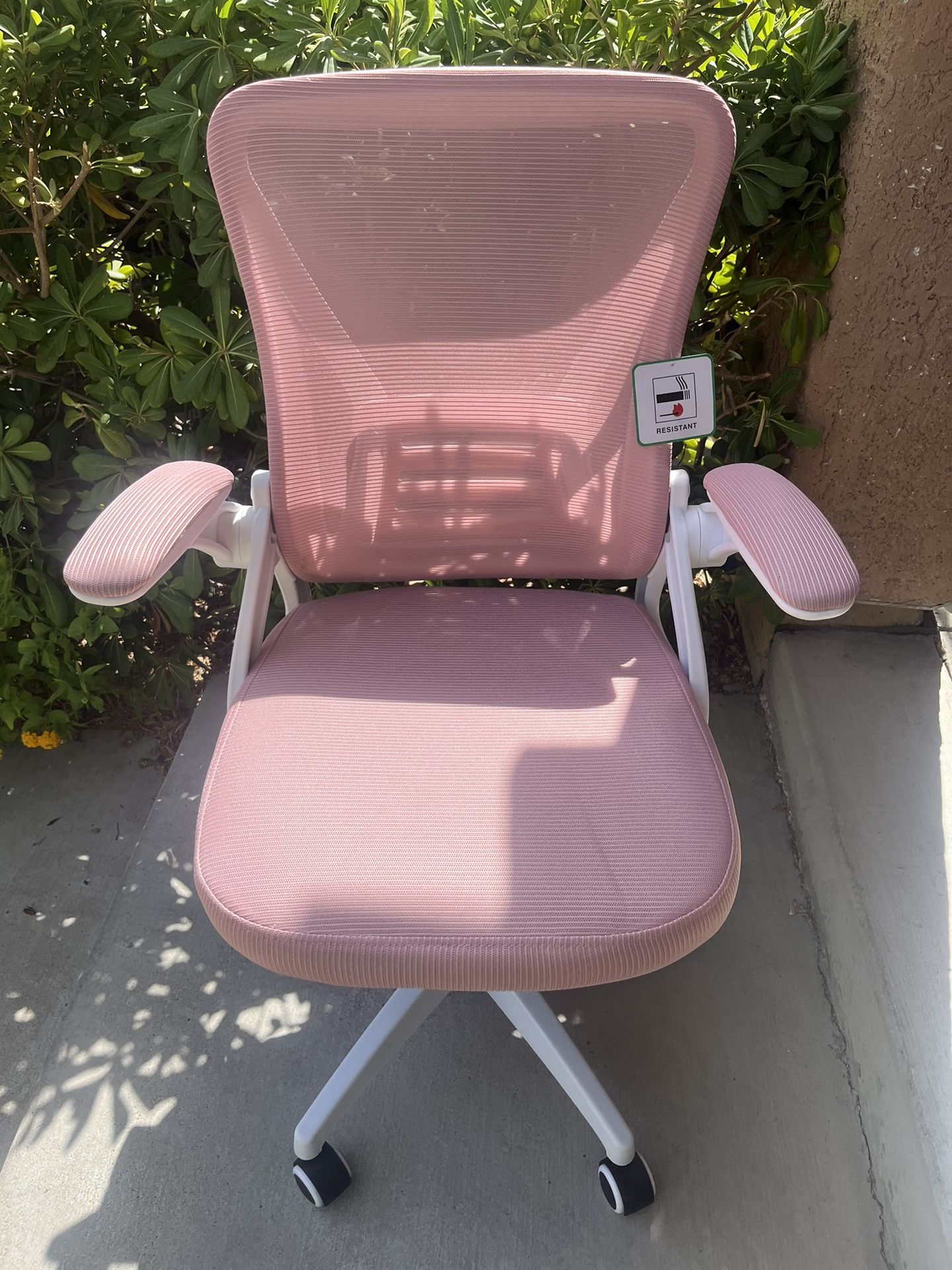 Naspaluro Ergonomic Office Chair.