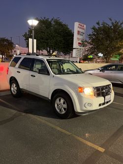 Ford Escape SUV White
