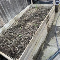 Free Dirt With Worms