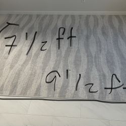 Brand New Area Rug. Need Gone Asap
